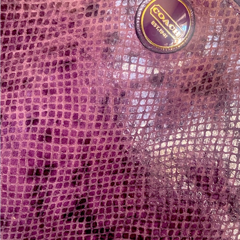 Coach Tablet Cover or Clutch purse